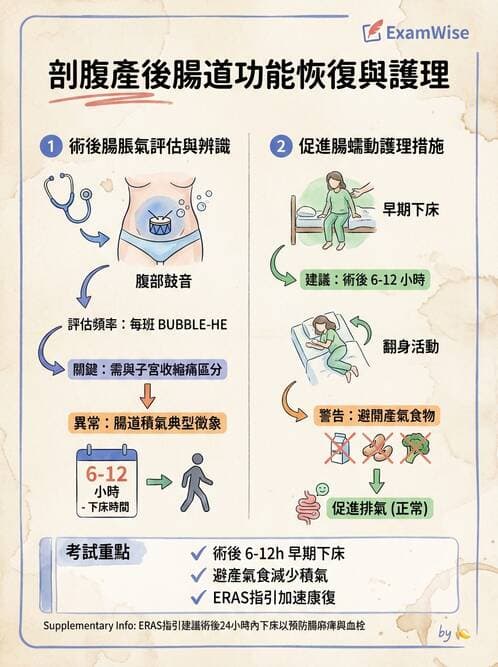 護理師 - 產後生理恢復與護理 - AI 圖文解析預覽