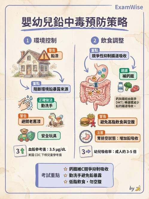 護理師 - 兒童預防保健與安全 - AI 圖文解析預覽