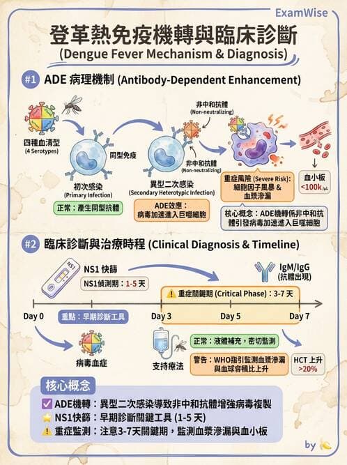 護理師 - 傳染病防治與護理 - AI 圖文解析預覽