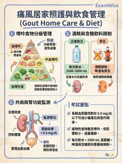 護理師 - 慢性病防治 - AI 圖文解析預覽