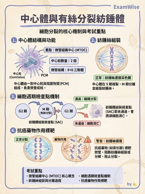 護理師 - 細胞生理 - AI 圖文解析預覽