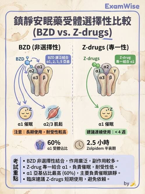 護理師 - 精神科藥物 - AI 圖文解析預覽