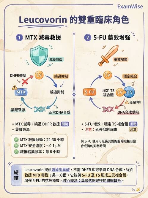護理師 - 化學治療與免疫調節藥物 - AI 圖文解析預覽