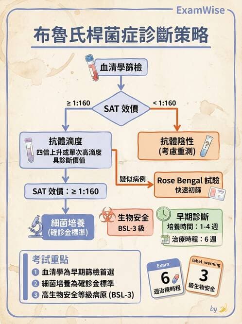 護理師 - 革蘭氏陰性細菌 - AI 圖文解析預覽