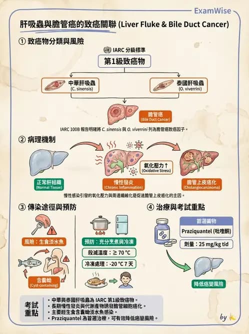 護理師 - 寄生蟲概論 - AI 圖文解析預覽