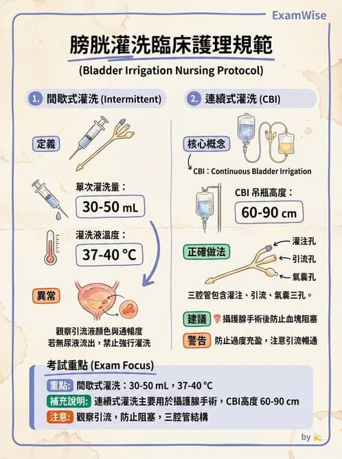 護理師 - 泌尿排泄與導尿護理 - AI 圖文解析預覽