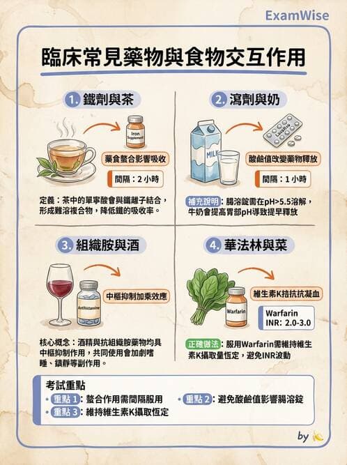 護理師 - 輸血與藥物計算 - AI 圖文解析預覽