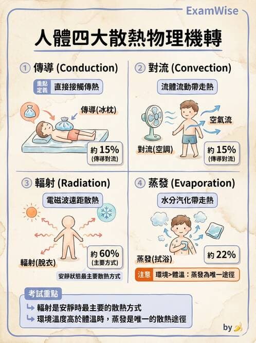 護理師 - 體溫與呼吸評估 - AI 圖文解析預覽