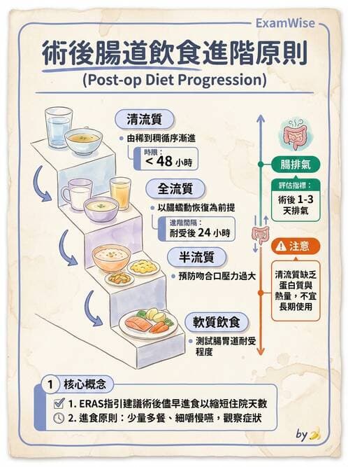 護理師 - 營養與管灌飲食 - AI 圖文解析預覽