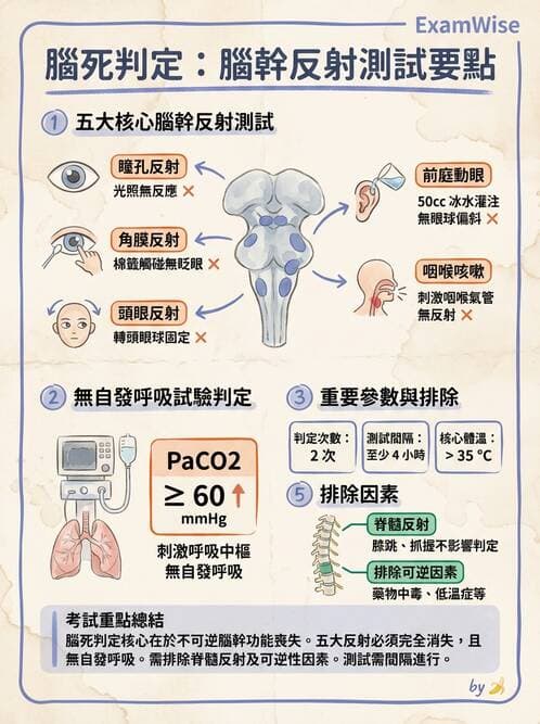 護理師 - 臨終與哀傷護理 - AI 圖文解析預覽