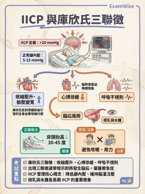 護理師 - 顱內壓升高與頭部外傷 - AI 圖文解析預覽
