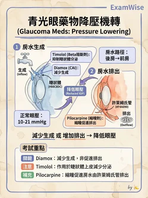 護理師 - 眼科疾病 - AI 圖文解析預覽
