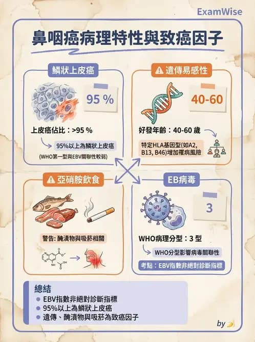 護理師 - 其他常見癌症護理 - AI 圖文解析預覽