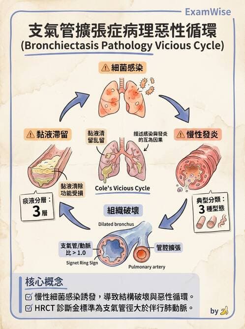 護理師 - COPD與氣喘 - AI 圖文解析預覽