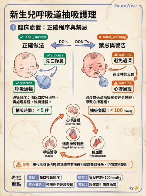 護理師 - 新生兒評估與生理特徵 - AI 圖文解析預覽