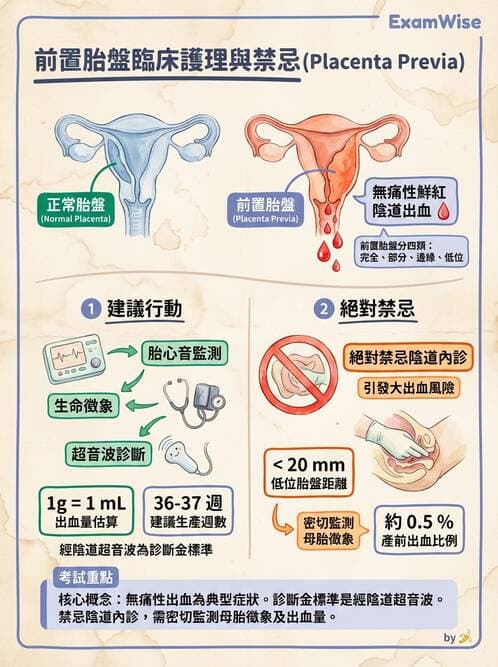 護理師 - 高危險妊娠 - AI 圖文解析預覽