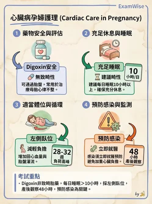 護理師 - 高危險妊娠 - AI 圖文解析預覽