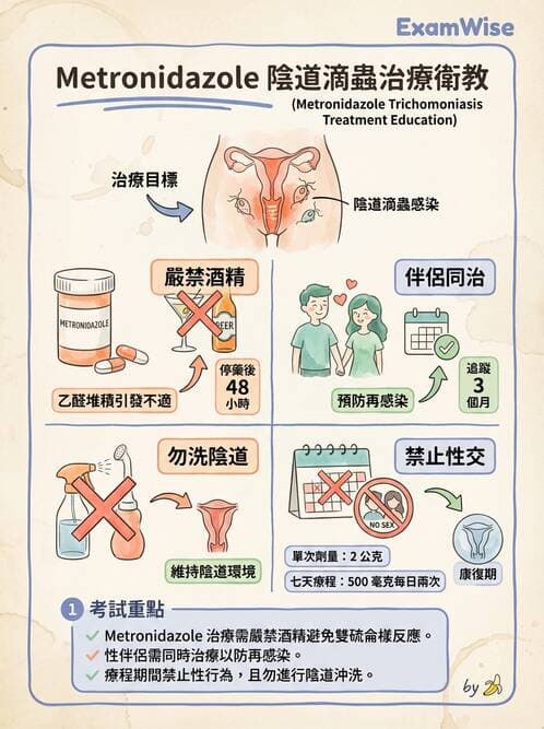 護理師 - 孕期生理變化與不適護理 - AI 圖文解析預覽