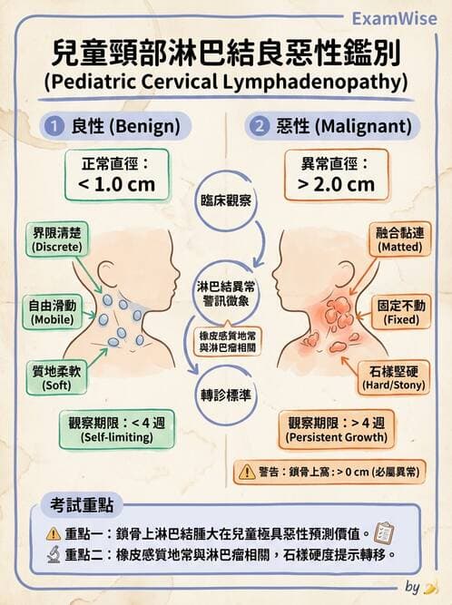 護理師 - 兒童生長發展與評估 - AI 圖文解析預覽