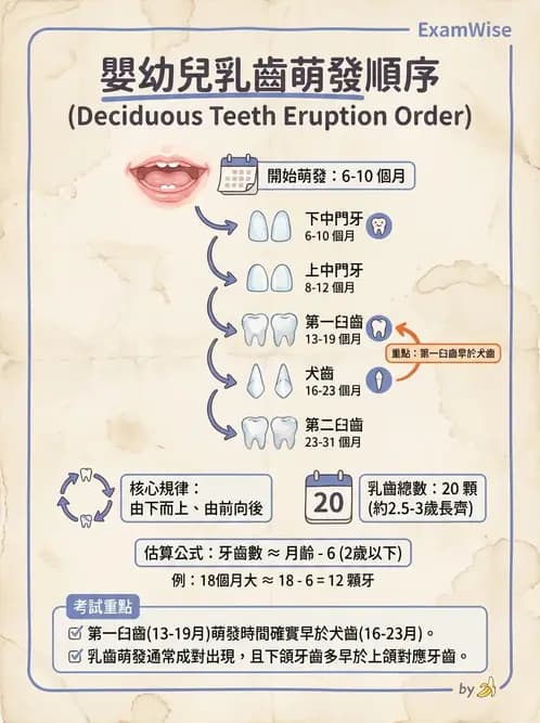 護理師 - 兒童生長發展與評估 - AI 圖文解析預覽