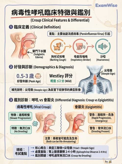 護理師 - 兒童呼吸系統疾病 - AI 圖文解析預覽