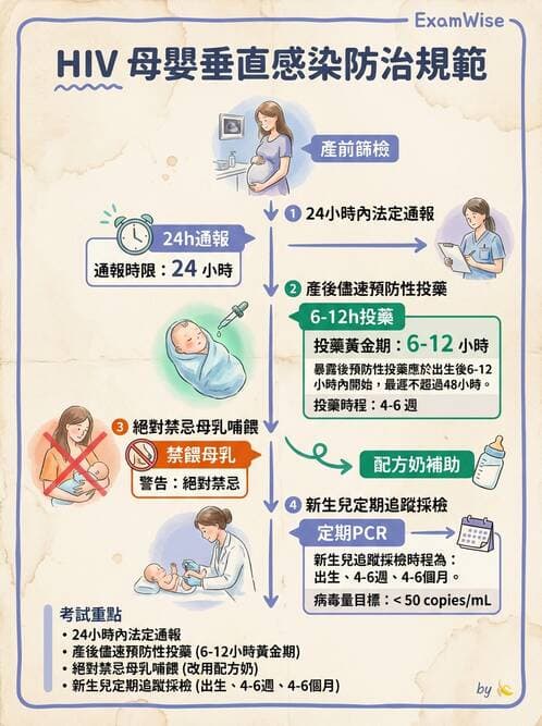 護理師 - 新生兒日常照護與篩檢 - AI 圖文解析預覽