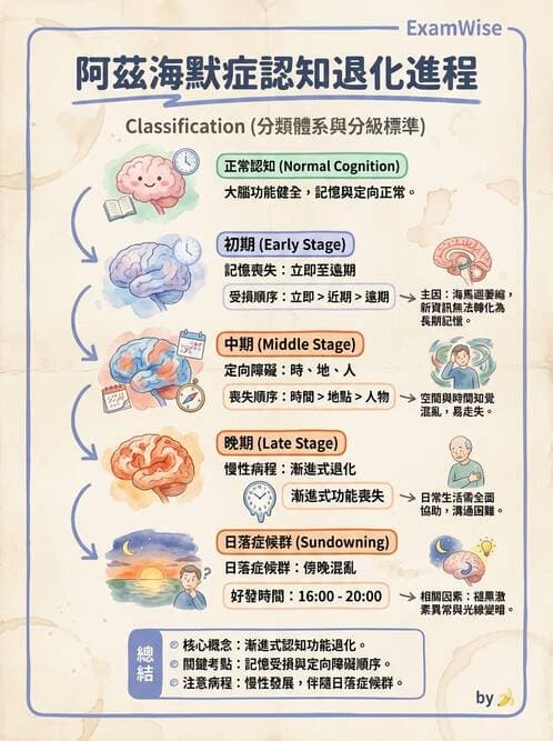 護理師 - 老年精神疾患 - AI 圖文解析預覽