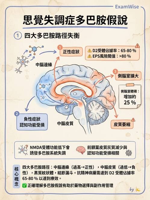 護理師 - 情感與思覺障礙綜合評估 - AI 圖文解析預覽
