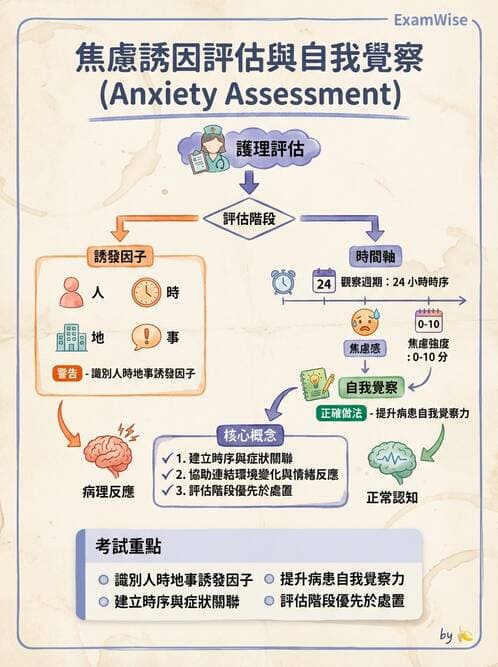 護理師 - 治療性溝通與護病關係 - AI 圖文解析預覽