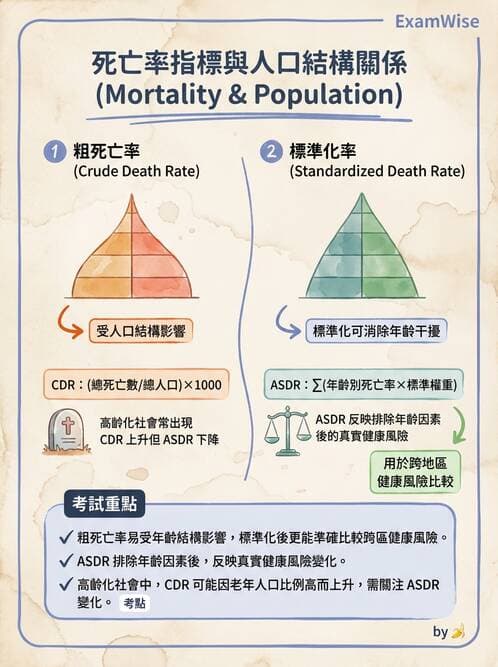 護理師 - 生命統計與健康指標 - AI 圖文解析預覽