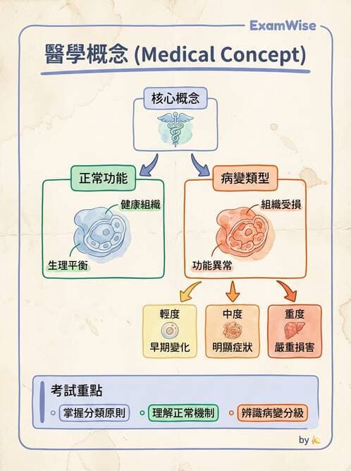 護理師 - 職業衛生護理 - AI 圖文解析預覽