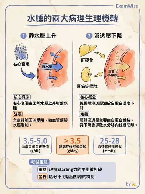 護理師 - 體液平衡 - AI 圖文解析預覽