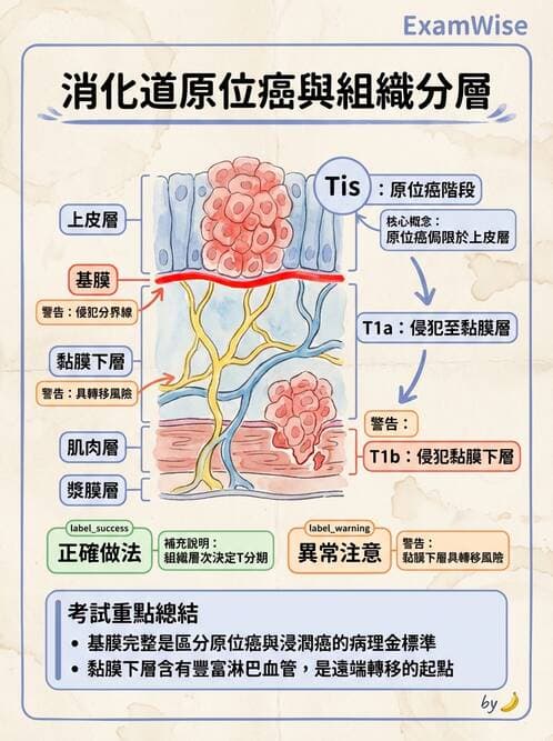 護理師 - 腫瘤及遺傳疾病 - AI 圖文解析預覽