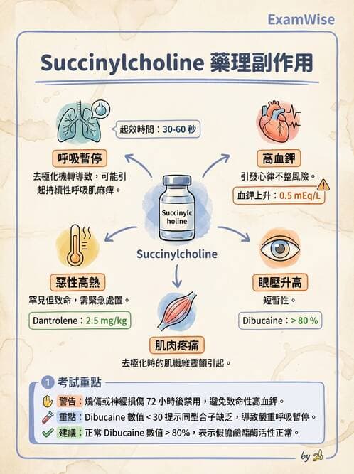 護理師 - 鎮痛、麻醉與神經科藥物 - AI 圖文解析預覽
