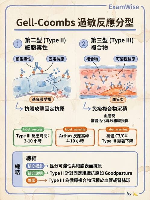 護理師 - 臨床免疫:免疫異常 - AI 圖文解析預覽