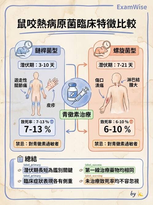 護理師 - 其他細菌 - AI 圖文解析預覽