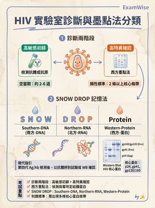 護理師 - 病毒學概念、prion - AI 圖文解析預覽