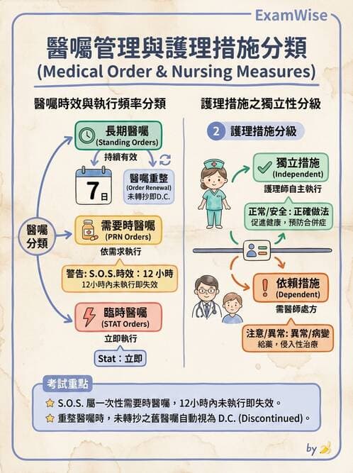護理師 - 給藥原則與口服給藥 - AI 圖文解析預覽
