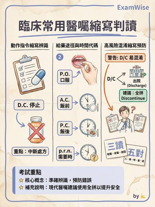 護理師 - 給藥原則與口服給藥 - AI 圖文解析預覽