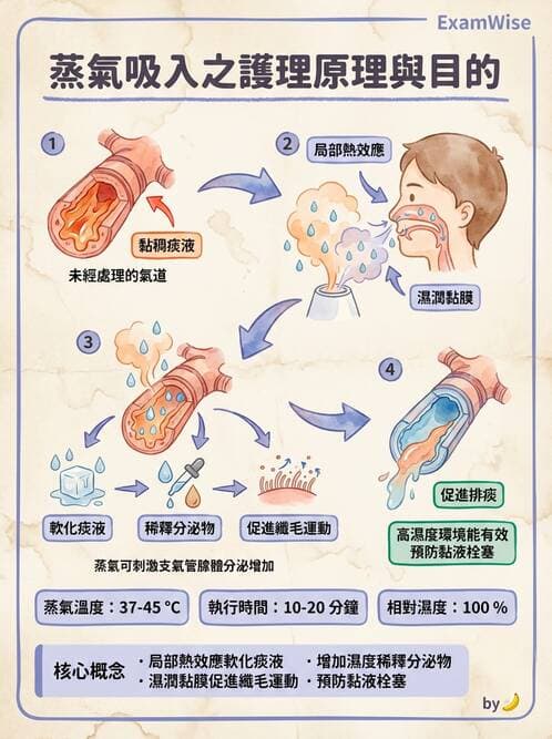 護理師 - 冷熱療法 - AI 圖文解析預覽