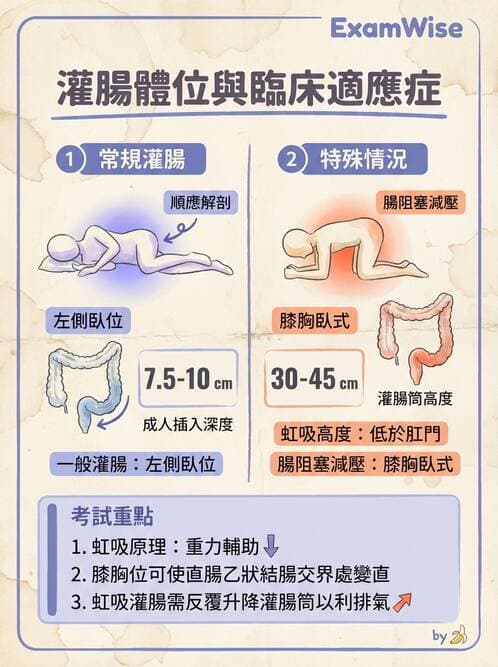 護理師 - 腸道排泄與灌腸護理 - AI 圖文解析預覽