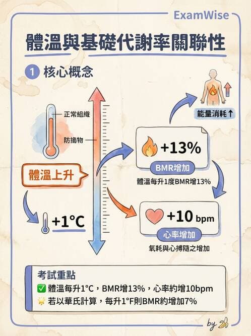 護理師 - 體溫與呼吸評估 - AI 圖文解析預覽