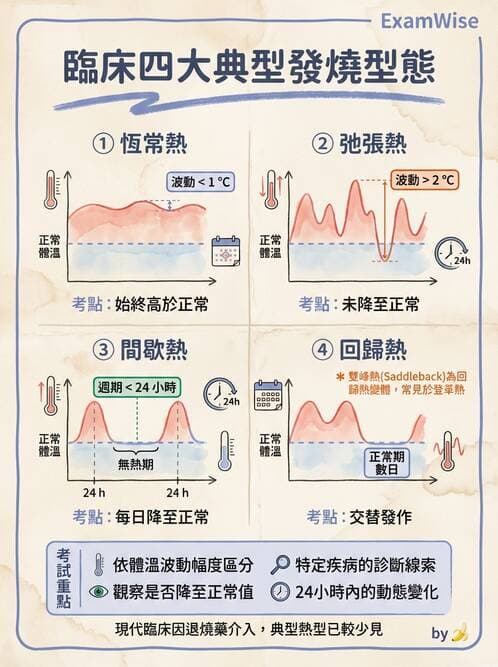 護理師 - 體溫與呼吸評估 - AI 圖文解析預覽