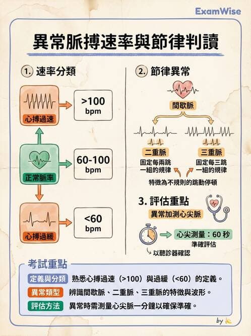護理師 - 循環評估(脈搏與血壓) - AI 圖文解析預覽