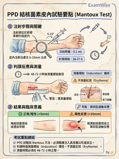 護理師 - 注射技術 - AI 圖文解析預覽