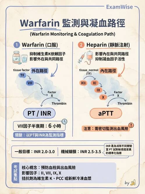 護理師 - 高血壓與周邊血管疾病 - AI 圖文解析預覽
