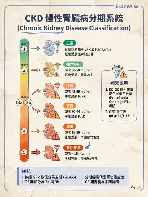 護理師 - 腎炎、腎衰竭與慢性腎臟病 - AI 圖文解析預覽