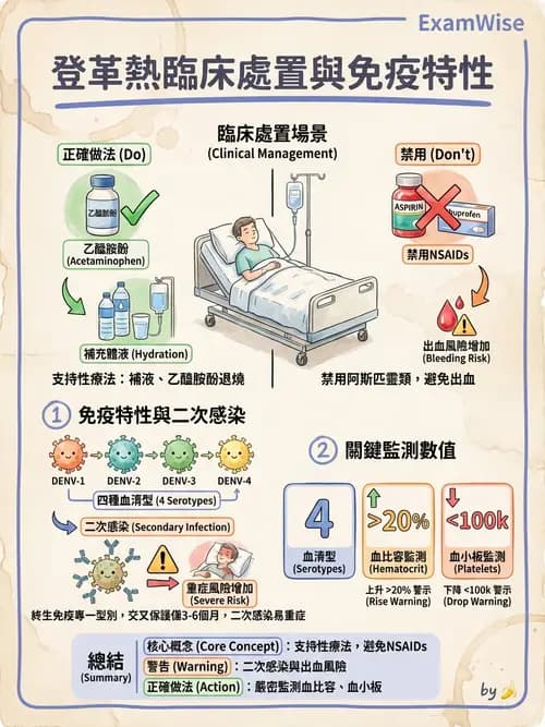 護理師 - 傳染病護理 - AI 圖文解析預覽