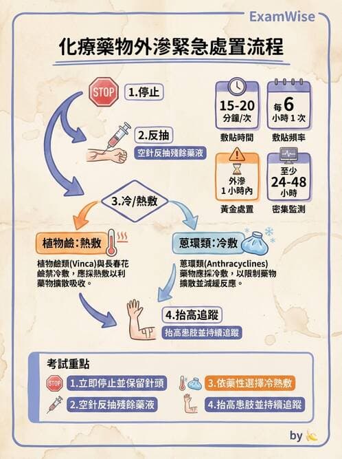 護理師 - 兒童給藥與輸液技術 - AI 圖文解析預覽