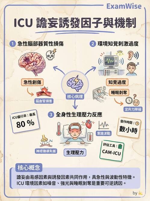 護理師 - 老年精神疾患 - AI 圖文解析預覽